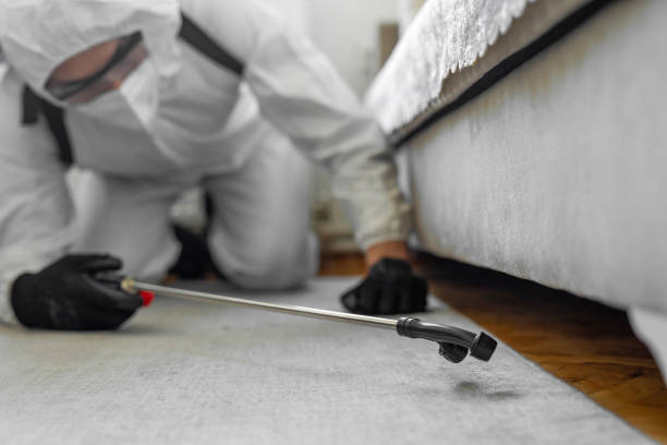 Professional Termite Control technician working in Fort Bragg, CA
