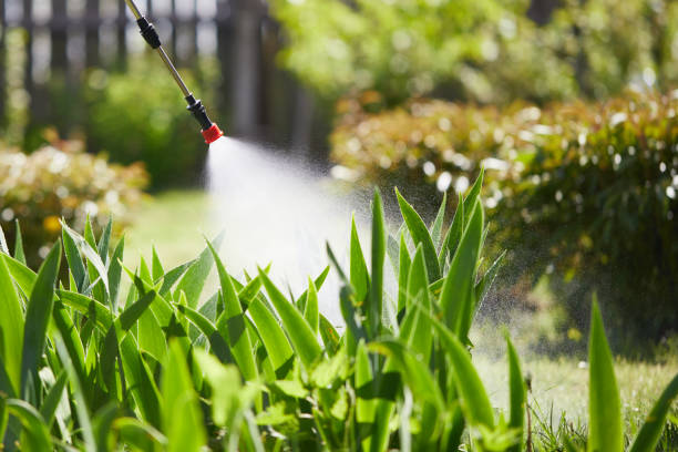24/7 Emergency Termite Control experts in Fort Bragg, CA