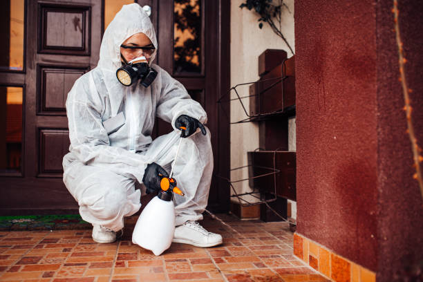Reliable Termite Control contractor in Fort Bragg, CA by Nex Pest Control