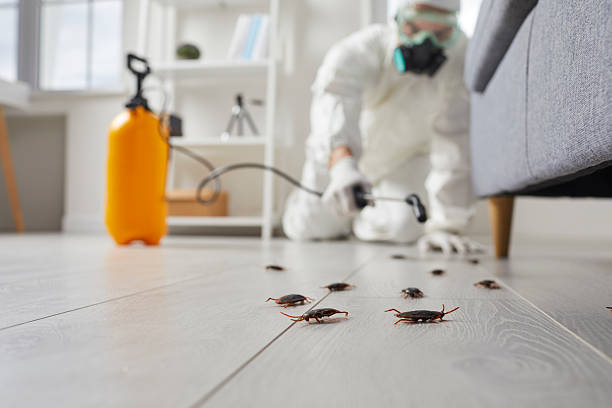 Affordable Termite Control solutions in Fort Bragg, CA